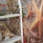 Σπίτι διακοπών Casacamer S Σαγούντο