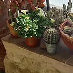 Casacamer S